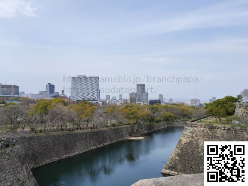 2024春の大阪城